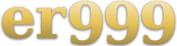 er999 logo